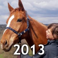 2013 story